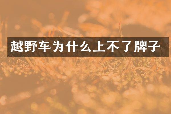 越野车为什么上不了牌子