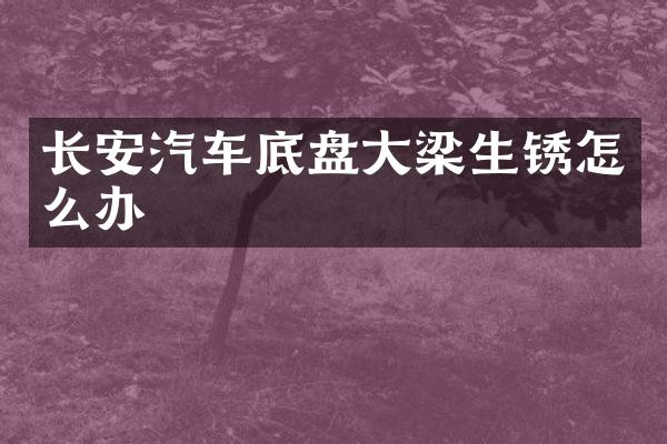 长安汽车底盘大梁生锈怎么办