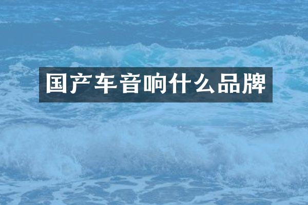 国产车音响什么品牌