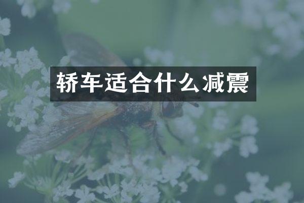 轿车适合什么减震