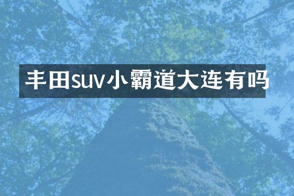 丰田suv小霸道大连有吗