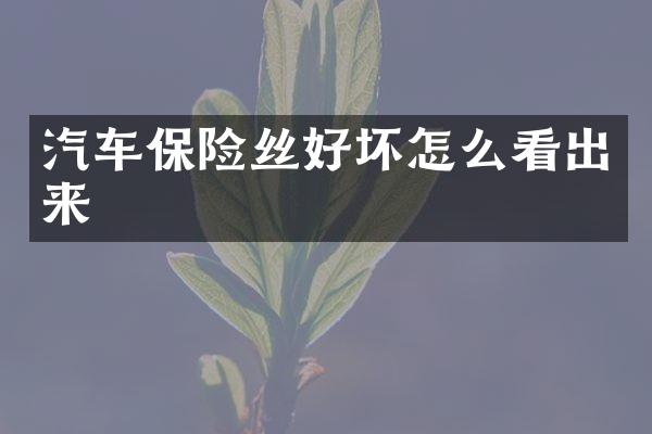 汽车保险丝好坏怎么看出来