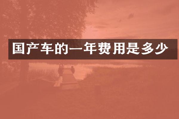 国产车的一年费用是多少