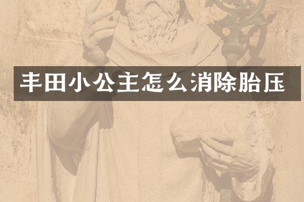 丰田小公主怎么消除胎压