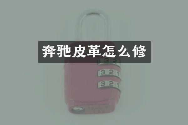 奔驰皮革怎么修