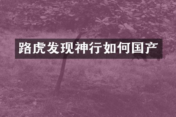 路虎发现神行如何国产