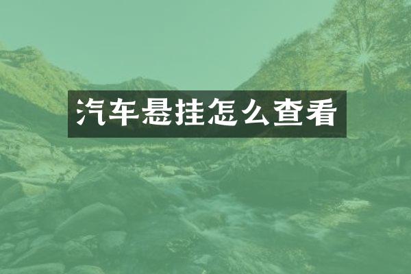 汽车悬挂怎么查看