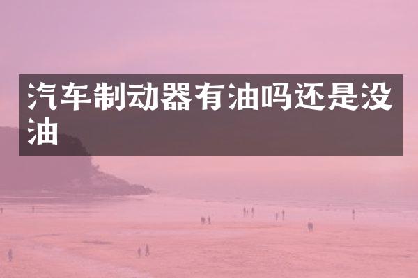 汽车制动器有油吗还是没油