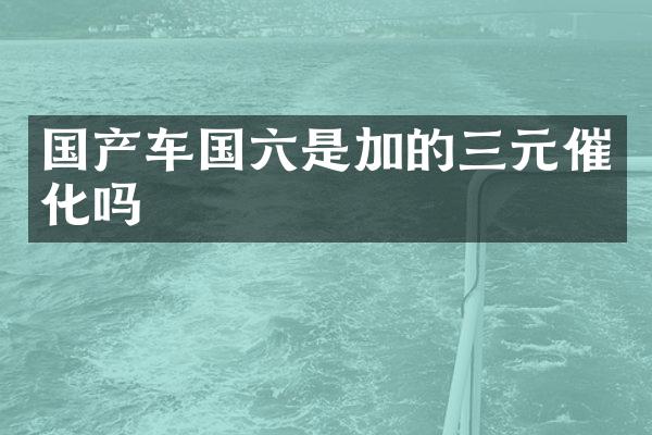 国产车国六是加的三元催化吗