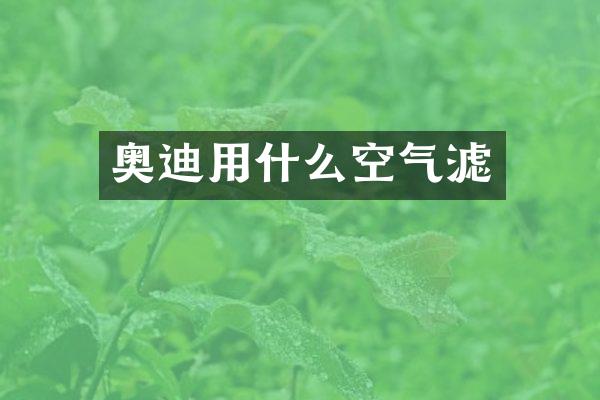 奥迪用什么空气滤