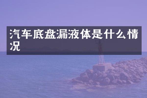 汽车底盘漏液体是什么情况