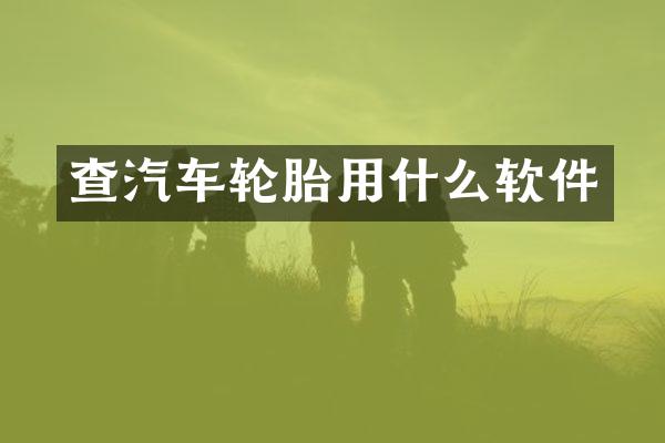 查汽车轮胎用什么软件