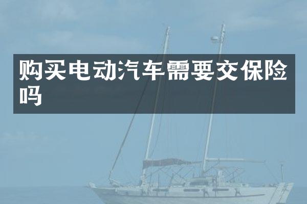 购买电动汽车需要交保险吗