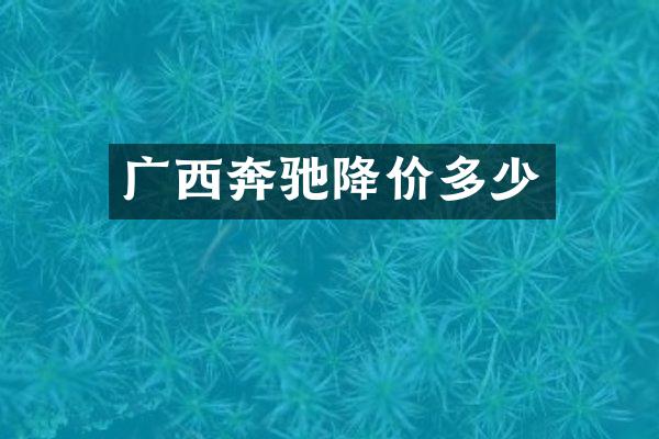 广西奔驰降价多少
