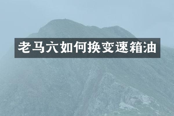 老马六如何换变速箱油