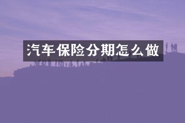汽车保险分期怎么做