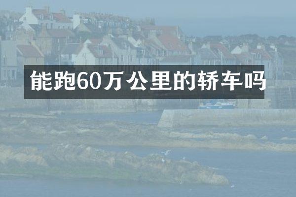 能跑60万公里的轿车吗