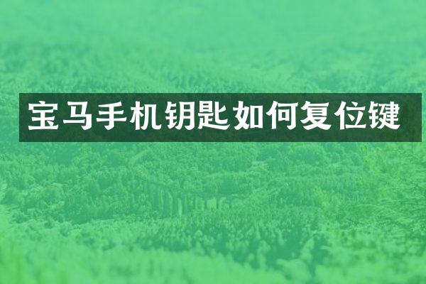 宝马手机钥匙如何复位键