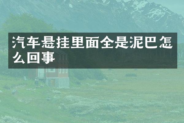 汽车悬挂里面全是泥巴怎么回事