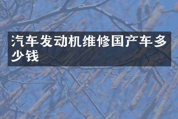 汽车发动机维修国产车多少钱