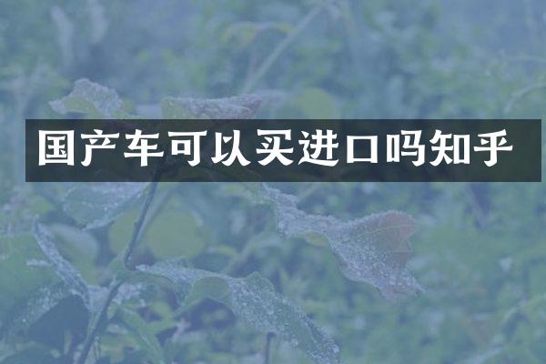 国产车可以买进口吗知乎