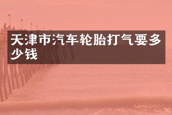 天津市汽车轮胎打气要多少钱
