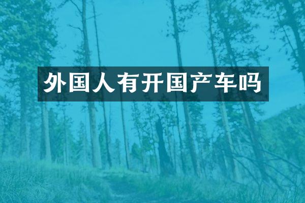 外国人有开国产车吗