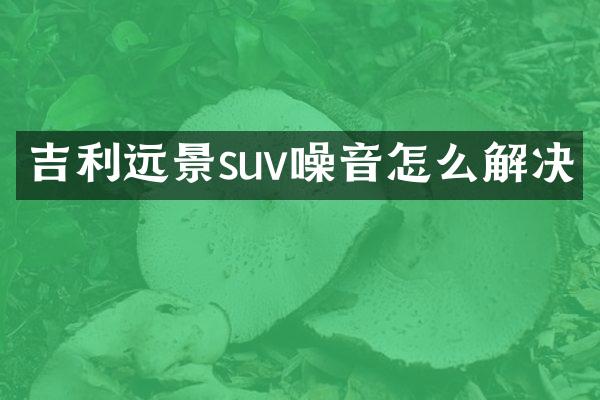 吉利远景suv噪音怎么解决