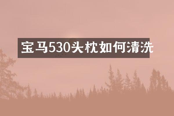 宝马530头枕如何清洗