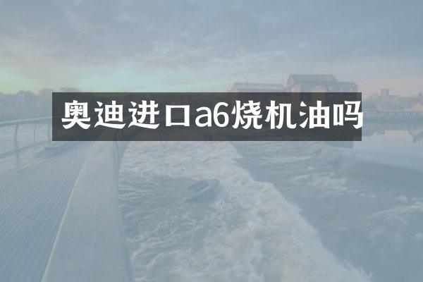 奥迪进口a6烧机油吗