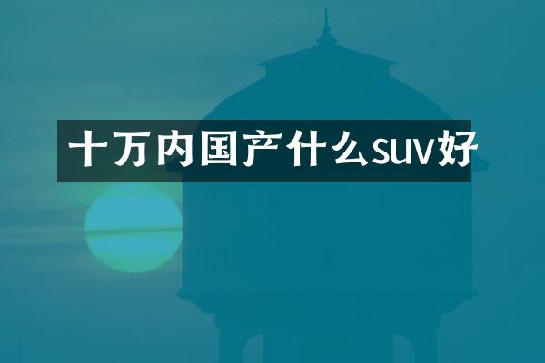 十万内国产什么suv好