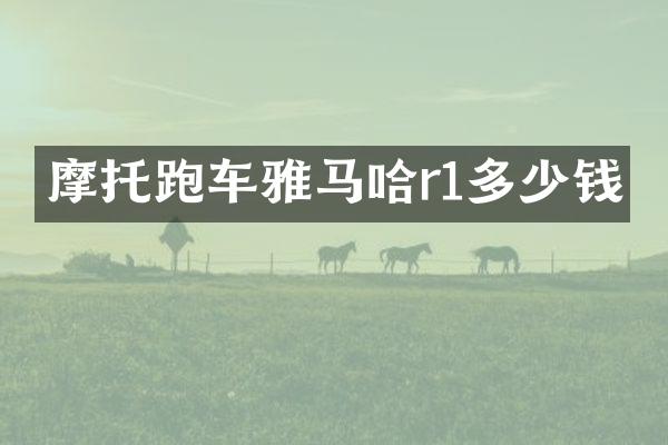 摩托跑车雅马哈r1多少钱