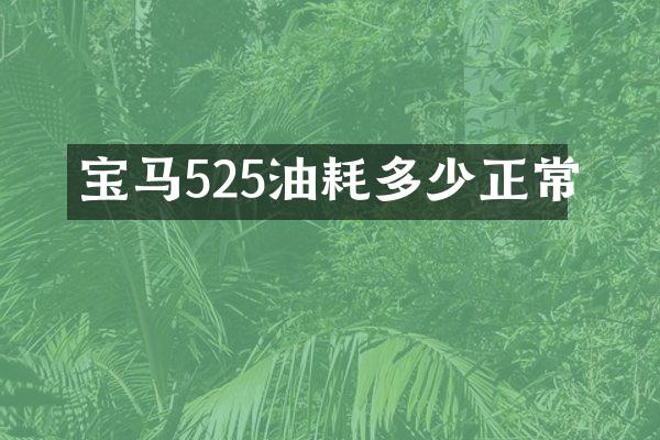 宝马525油耗多少正常