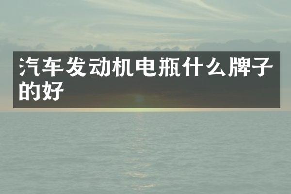 汽车发动机电瓶什么牌子的好