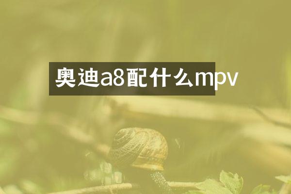 奥迪a8mpv