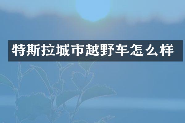 特斯拉城市越野车怎么样