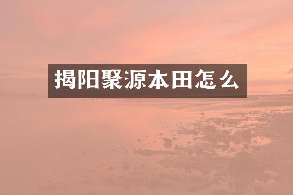 揭阳聚源本田怎么