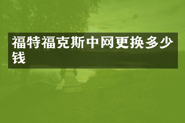 福特福克斯中网更换多少钱