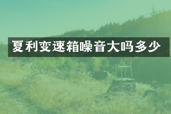 夏利变速箱噪音大吗多少