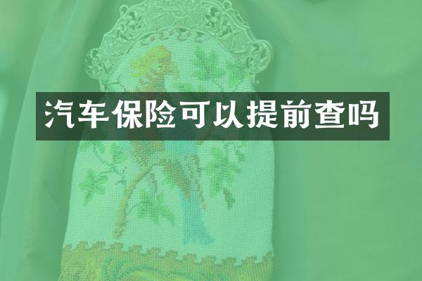 汽车保险可以提前查吗