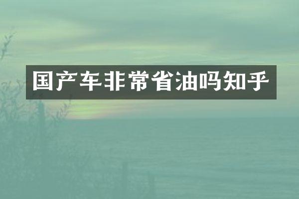 国产车非常省油吗知乎