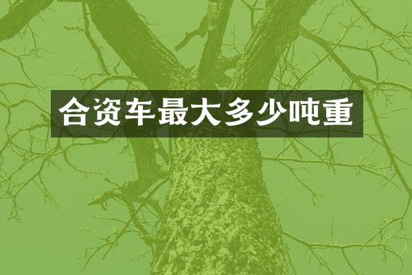 合资车最大多少吨重