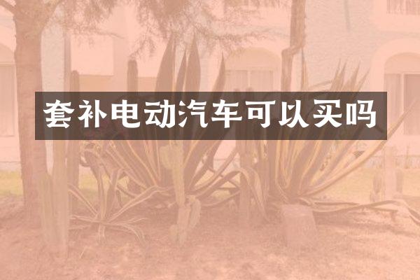 套补电动汽车可以买吗