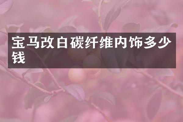 宝马改白碳纤维内饰多少钱
