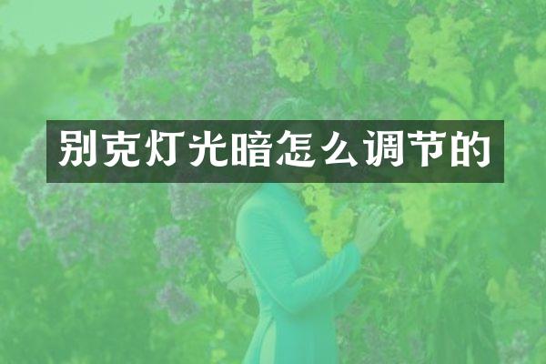 别克灯光暗怎么调节的