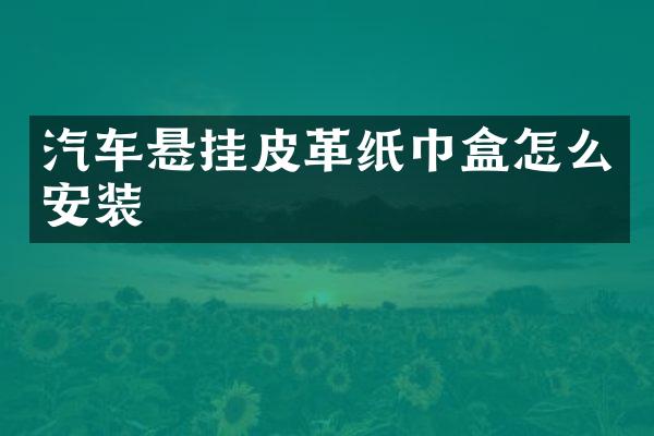 汽车悬挂皮革纸巾盒怎么安装