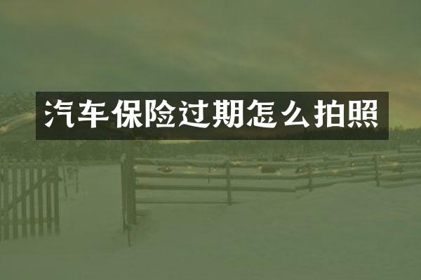 汽车保险过期怎么拍照