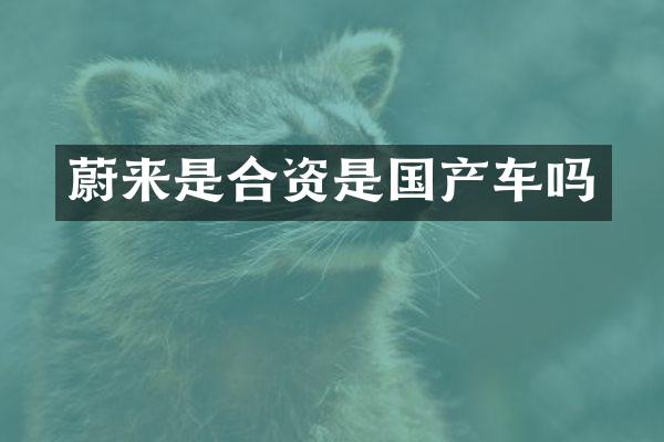 蔚来是合资是国产车吗
