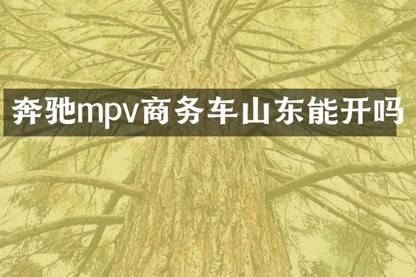 奔驰mpv商务车山东能开吗