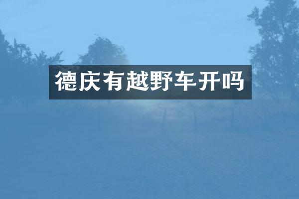 德庆有越野车开吗